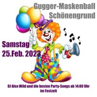 DJ Münchwilen - DJ Alex für Ihren Event in Münchwilen und Umgebung